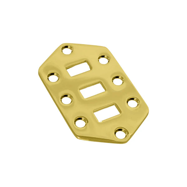 Switch Plate for Jaguar