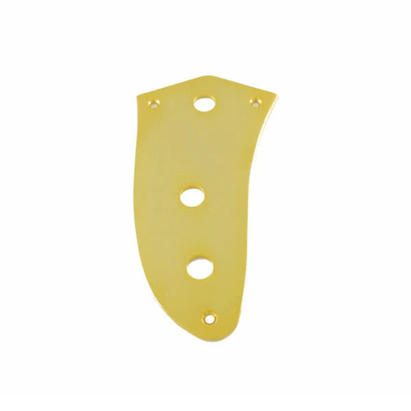 Control Plate for Jaguar