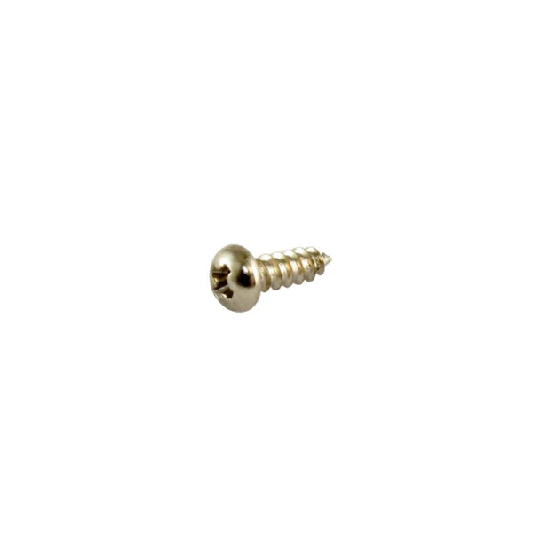 Truss Rod Cover Screws