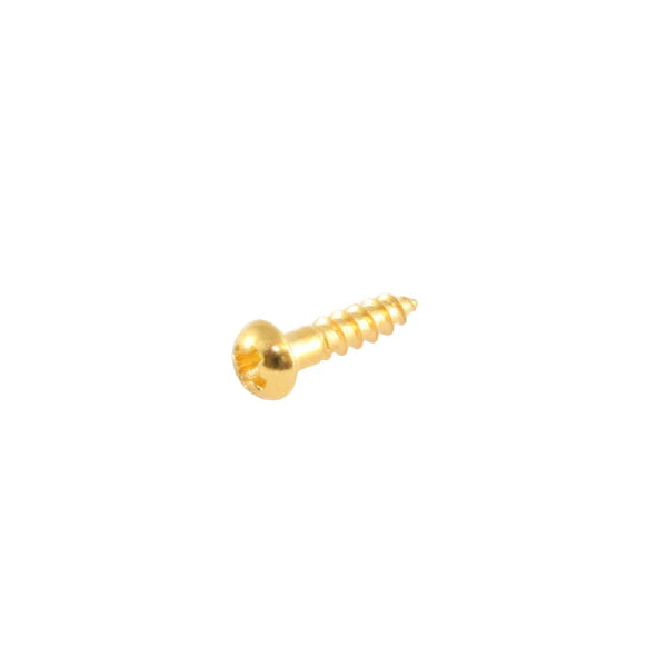Small Tuner Screw