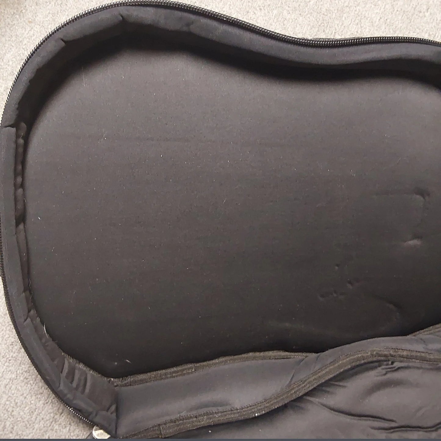 Used Parker Guitars Fly Premium Gig bag